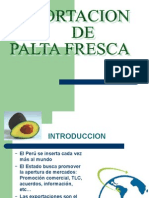 Exportacion de Palta