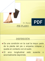 Pie Plano