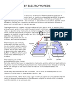 Paper Electrophoresis