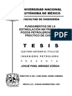 Estimulacion Matricial PDF