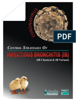 Control Strategies of Infectious Bronchitis