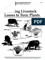 Reducing Livestock Losses To Toxic Plants: Texas Agricultural Extension Service