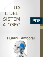 Manual Del Sistema Oseo