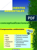 2 Componentes Problemas Ambientales