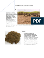 Desechos en El Proceso de Producción de La Caña de Azúcar