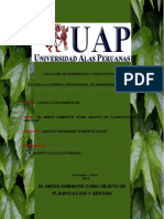 El Medio Ambiente Como Objeto de Planificacion y Gestion