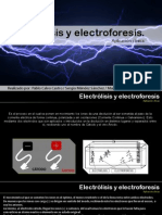 Electroforesis