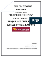 PNB Training Report