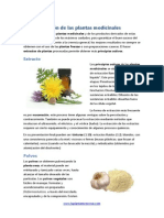 Administracion Plantas Medicinales