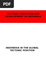 002-Fisiografi Wilayah Indonesia Yang Memperlihatkan Distribusi Dari Benua