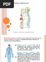 9 Sistema Nervioso2