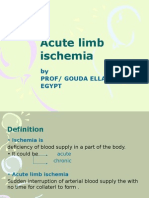 Acute Limb Ischemia