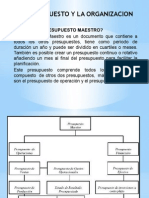 El Presupuesto y La Organizacion