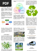 TRIPTICO Desarrollo Economico y Medio Ambiente