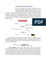 Fluidos Newtonianos y No Nwtonianos