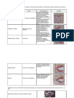 Odontogénesis Resumen