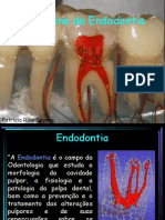 Disciplina de Endodontia: Patrícia Ruiz Spyere