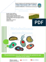 Metabolismo, Fermentación y Lixiviación Microbiana