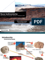 13 Rocas Sedimentarias