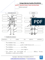 Activity 2 - Skeleton and Joints