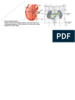 Ureter Anatomy