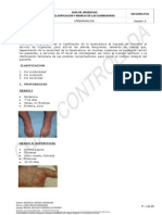 5-Clasificación y Manejo de Las Quemaduras