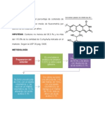 Riboflavina