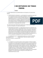 Informe de Estudios de Tingo Maria