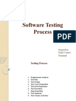 Software Testing Process: Fidel Castro Perumal