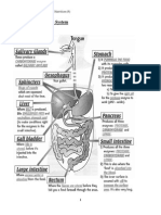 Chapter 6 Nutrition (B)