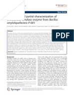 Production and Partial Characterization of Extracellular Amylase Enzyme From Bacillus Amyloliquefaciens P-001