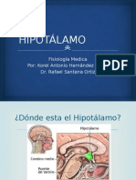 HIPOTÁLAMO