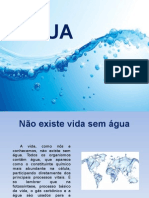 Trabalho Agua 