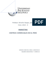 Analisis de Los Centros Comerciales en El Peru