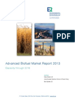 E2 Biofuel Market Report 2013.final