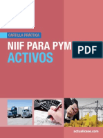 NIIF para PYMES