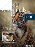 World of Animals - Issue 3 "A Tiger's Tale"