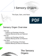 Main Sensory Organs