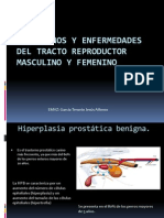 Enfermedades Del Aparato Reproductor Del Macho y La Hembra