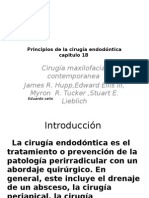 Cirugia Endodontica