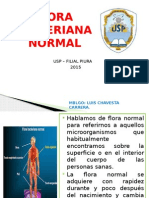 Flora Bacteriana Normal