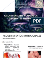 Aislamiento de Hongos de Diferentes Fuentes