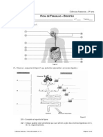 Ficha Trabalho 11digestaopdf 110523035802 Phpapp02