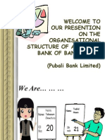 Pubali Bank - The Organizational Stracture