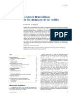 2006 Lesiones Traumáticas de Los Meniscos de La Rodilla