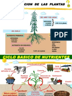 Nutricion Vegetal