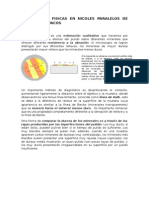 Propiedades Fisicas en Nicoles Paralelos-Minerales Opacos (Menas)