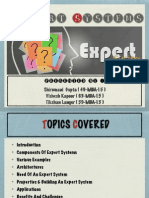 Expert System Presentation