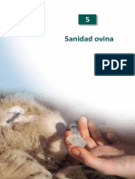 Sanidad Ovina