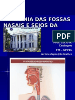 Anatomia Do Nariz e Seios Paranasais